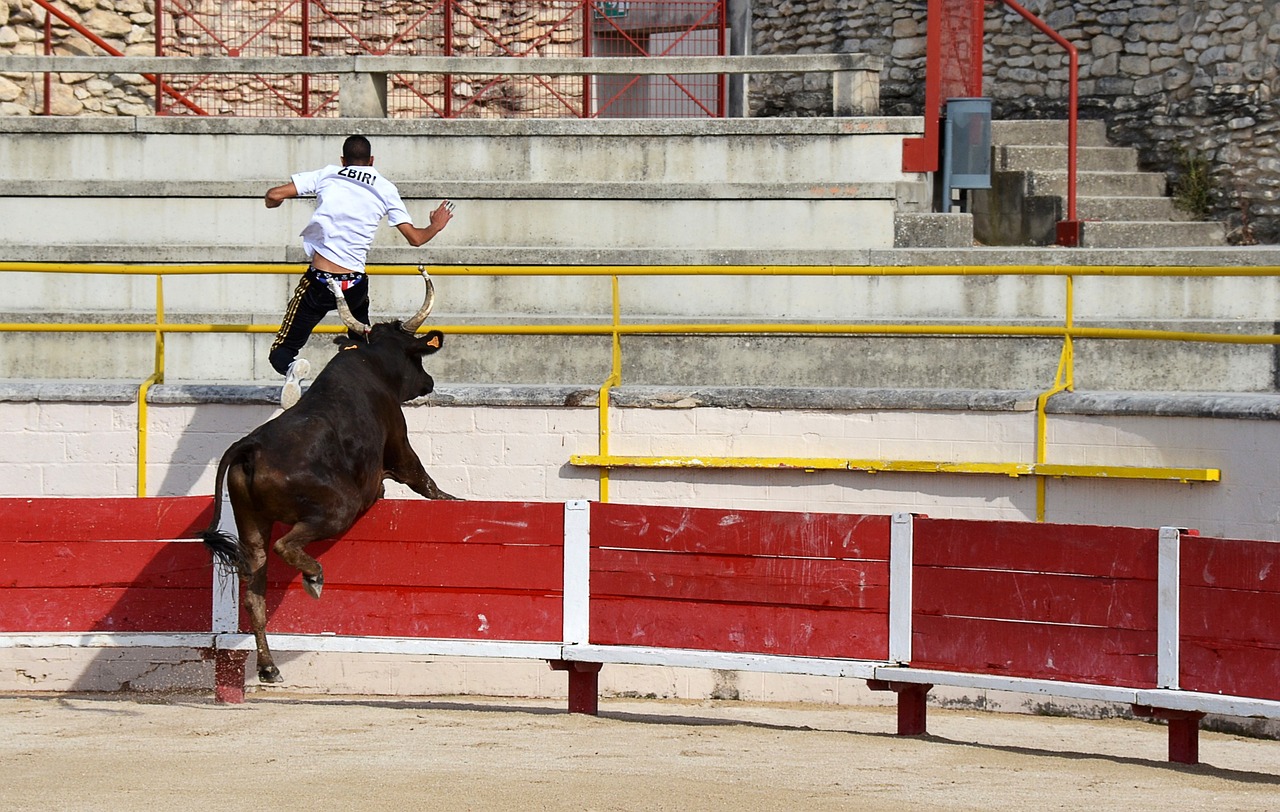 澳職方程式｜墨爾本勝利男女足當弗　過關客勝串主勝.