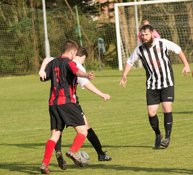 家庭身份标 家庭身份标