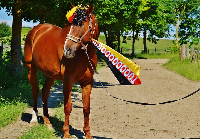 球效率迅速 球效率迅速