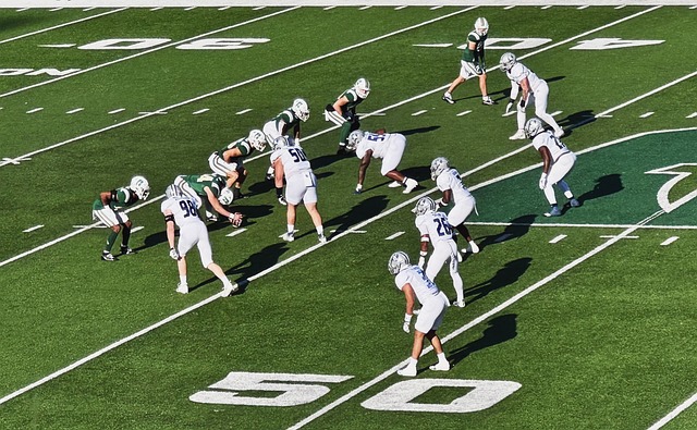 沙拉维：赛季初的换帅对球队没帮助，而拉涅利带来了些许平静.