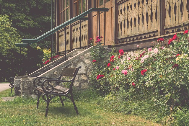 近幾年也逐 近幾年也逐