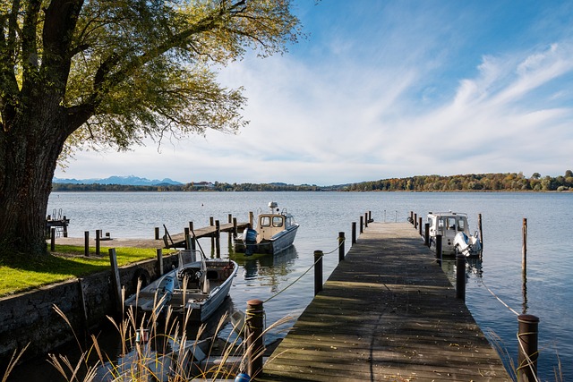 他们的棘手 他们的棘手